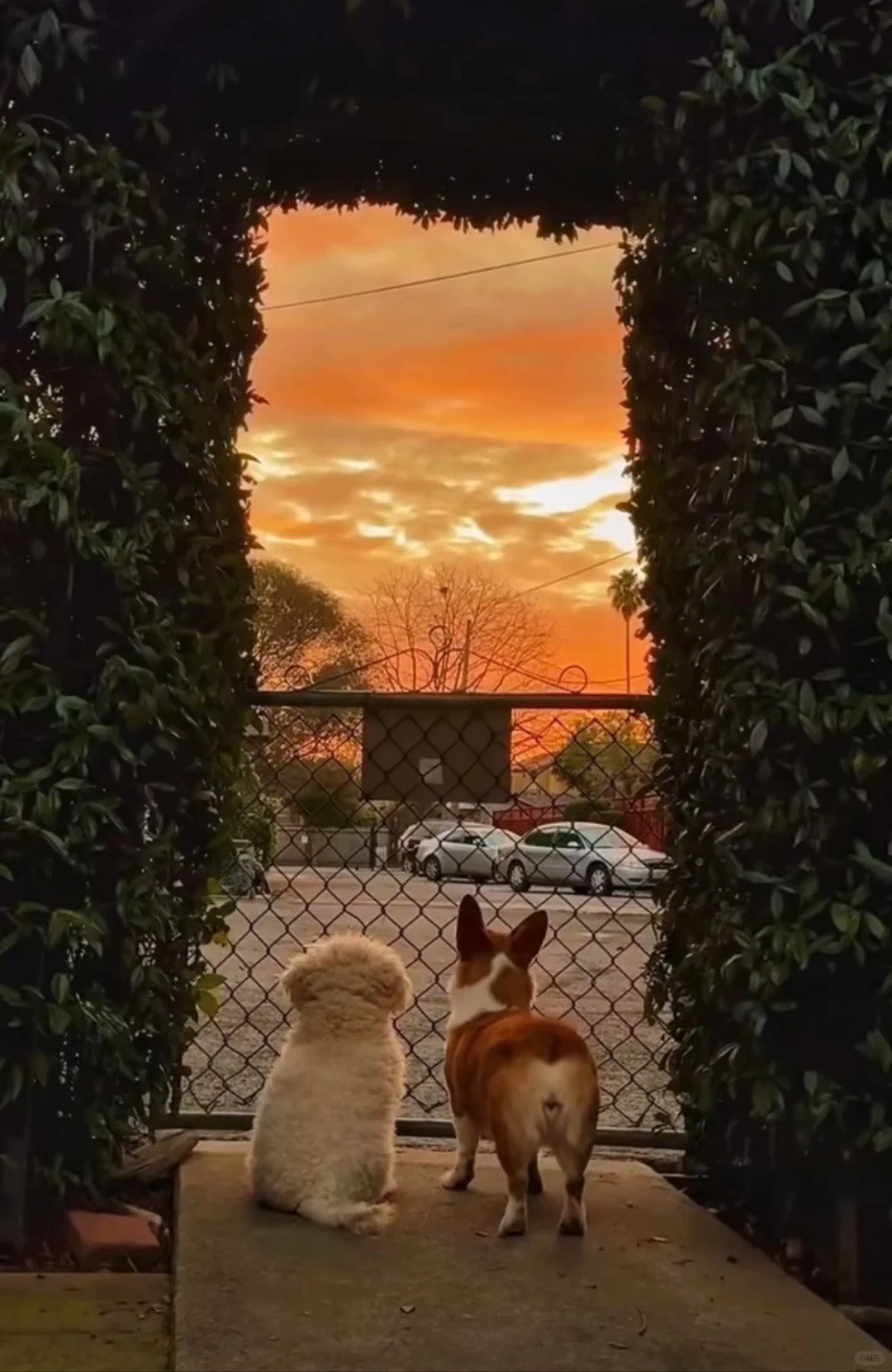 做线下展会的效果图