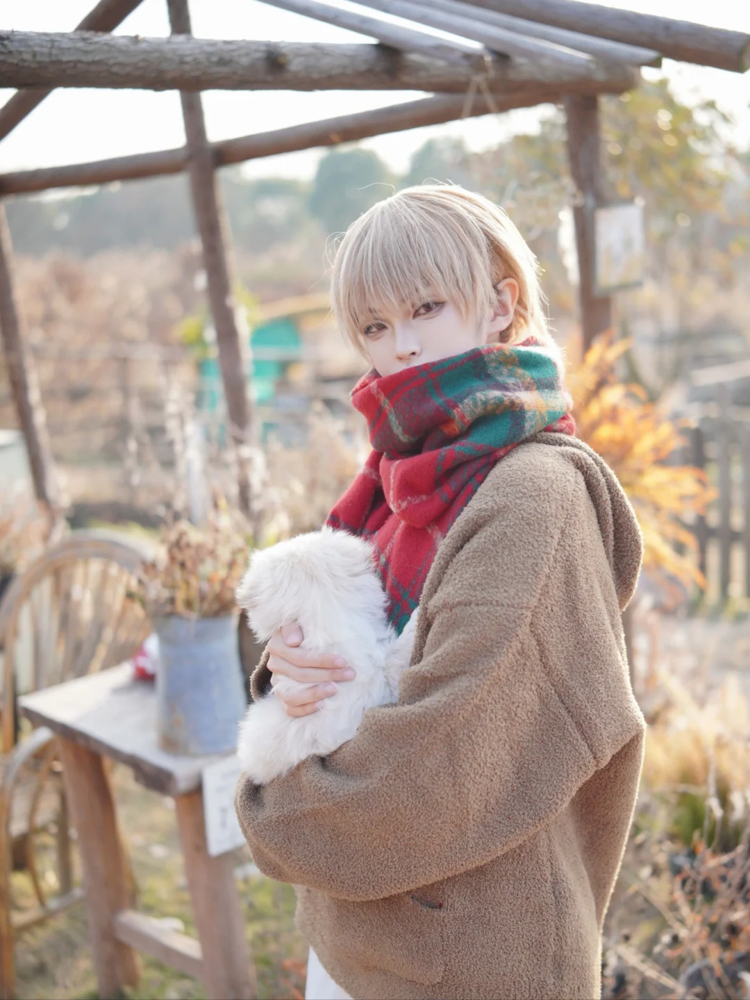 已满❗️停互❗️金陵青年文化博览会