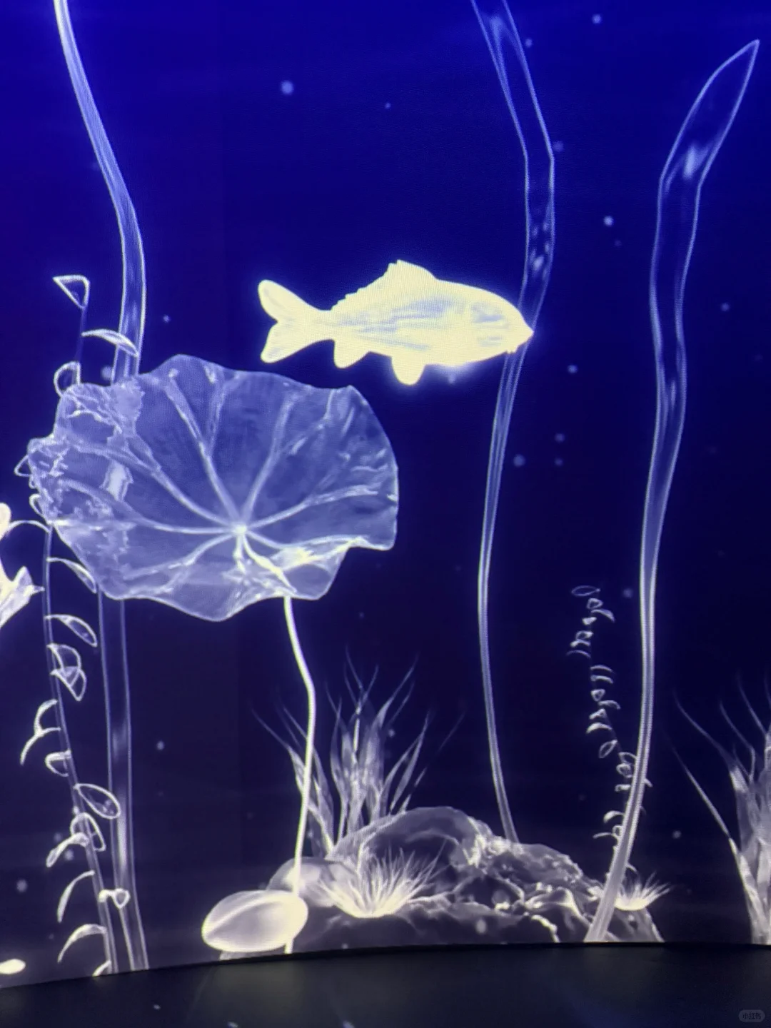 在数字与艺术的边界漫游?