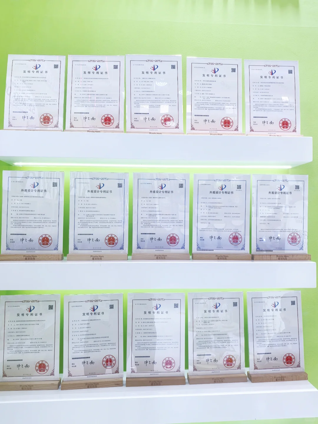 ?逛消博会被“植物妈妈”治愈了！