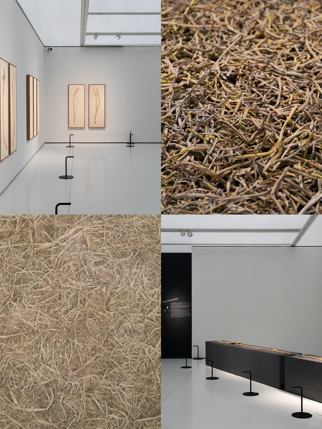 ✨广州新展丨不能错过的年度大展！好看又好拍