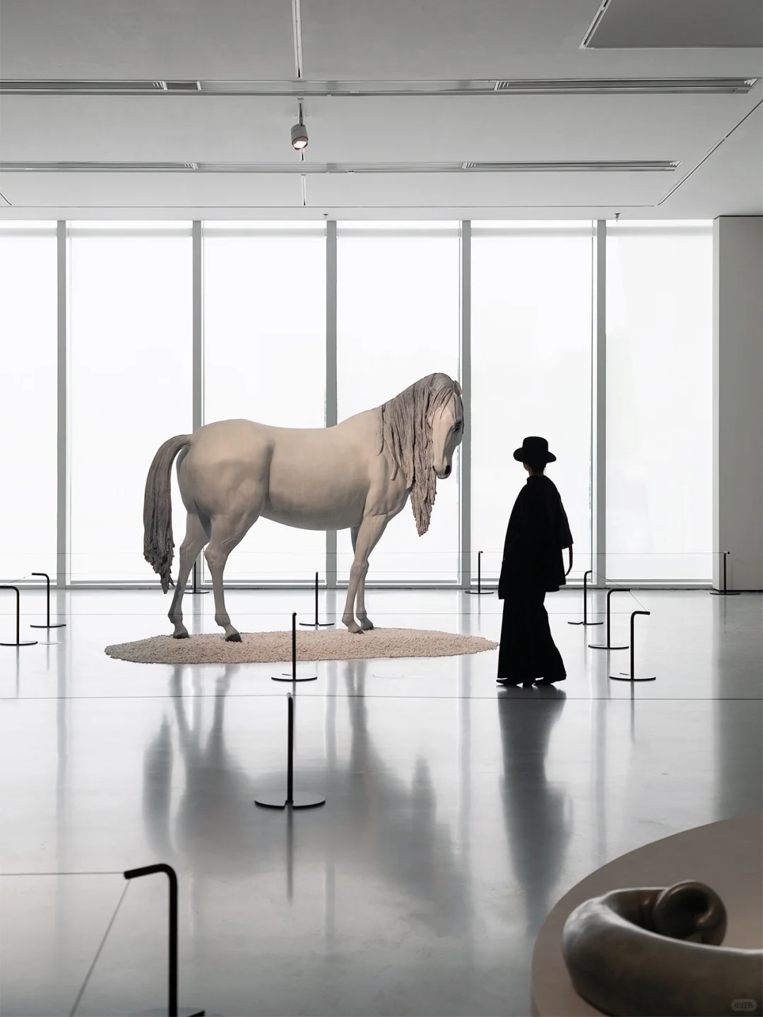 ✨广州新展丨不能错过的年度大展！好看又好拍