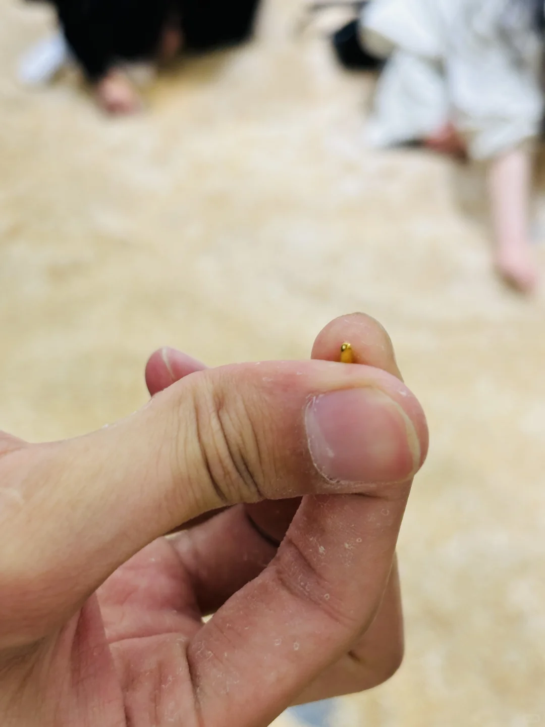 货真价实的金米 大城市机会还是太多了