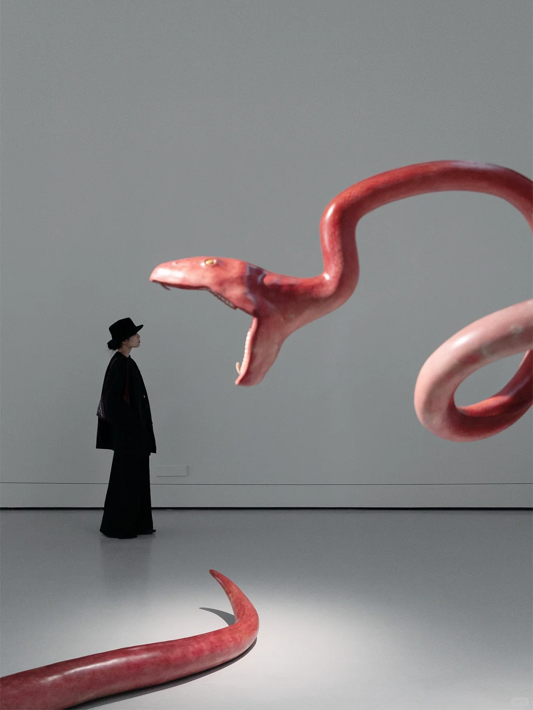 ✨广州新展丨不能错过的年度大展！好看又好拍