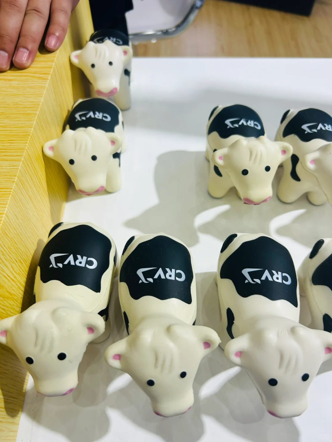 2024中国奶业展览会展台工作日常