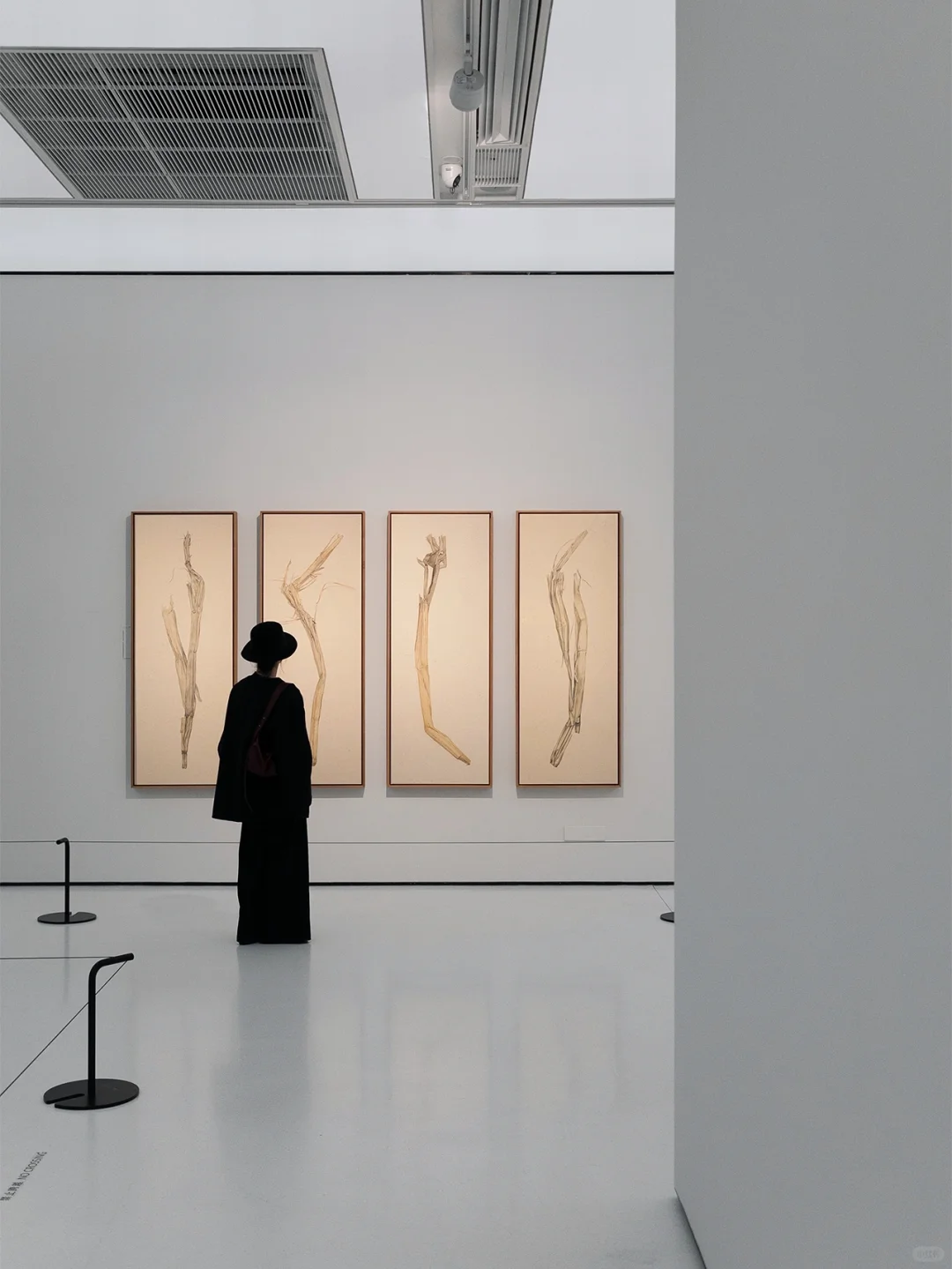 ✨广州新展丨不能错过的年度大展！好看又好拍