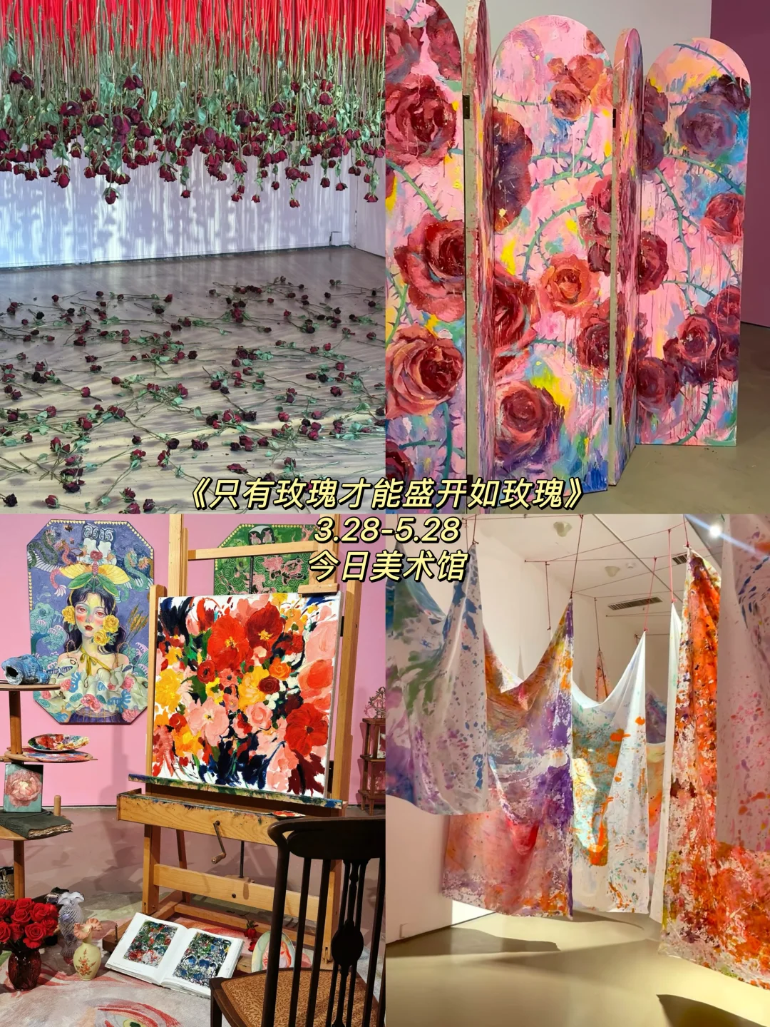 ?4~5?️不容错过的宝藏展✅码住慢慢看