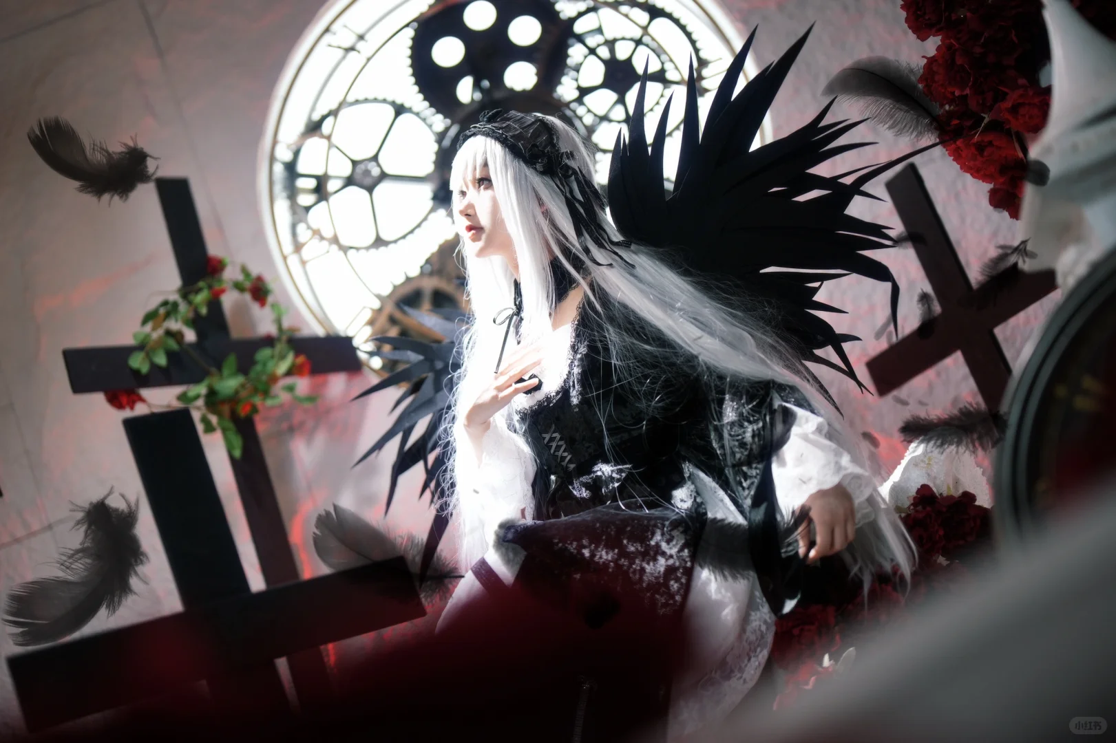 南京51金陵文化博览会自由行求20赞?