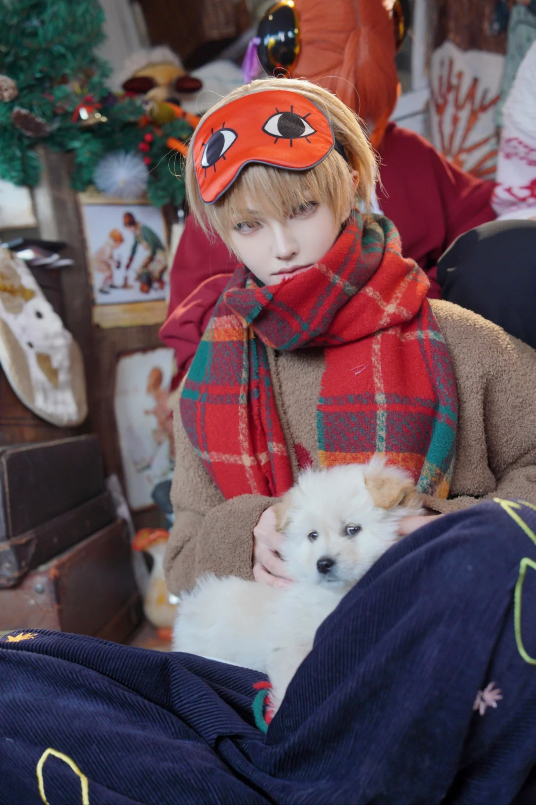 已满❗️停互❗️金陵青年文化博览会