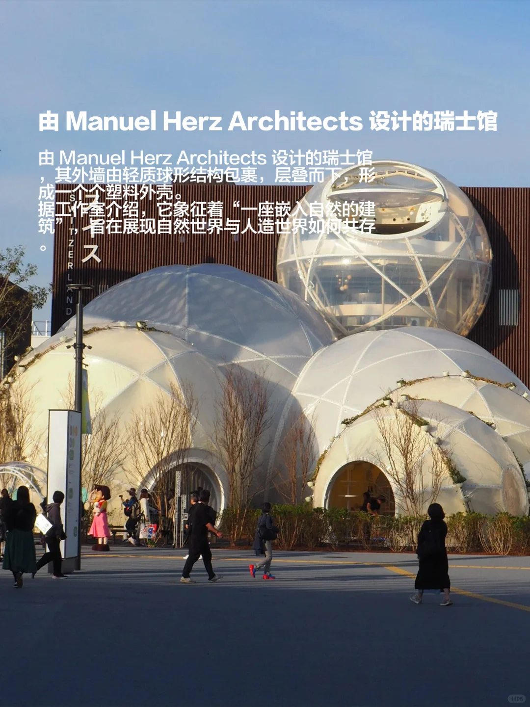 2025大阪世博会十个最有特色的展馆