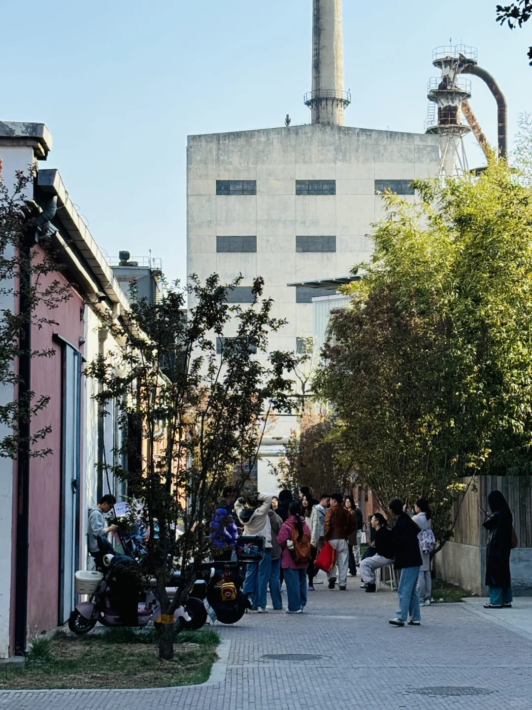 货真价实的金米 大城市机会还是太多了