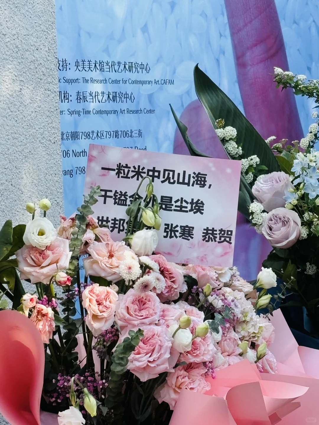 货真价实的金米 大城市机会还是太多了