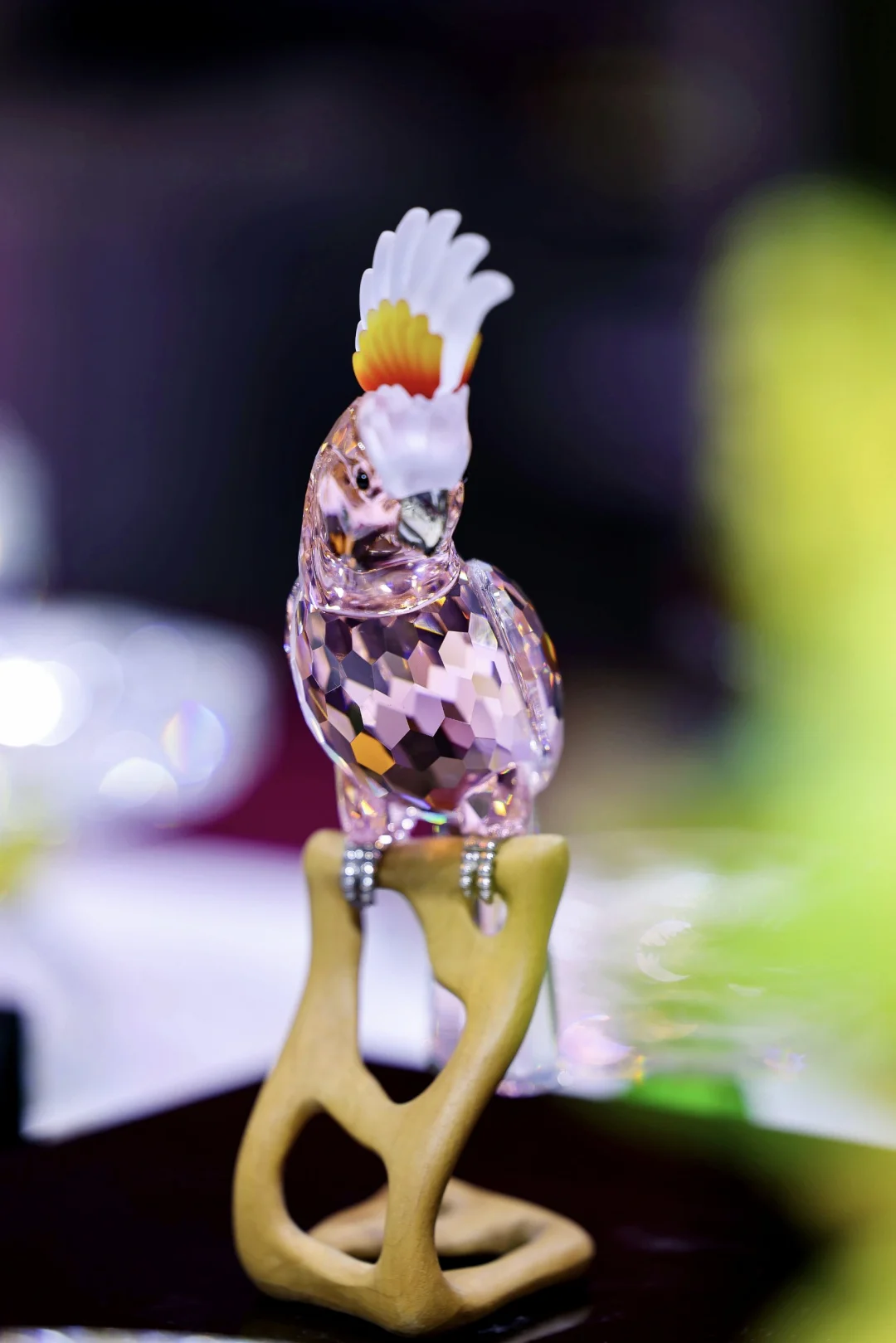 逛展特种兵申请出战！这份攻略快收好?️