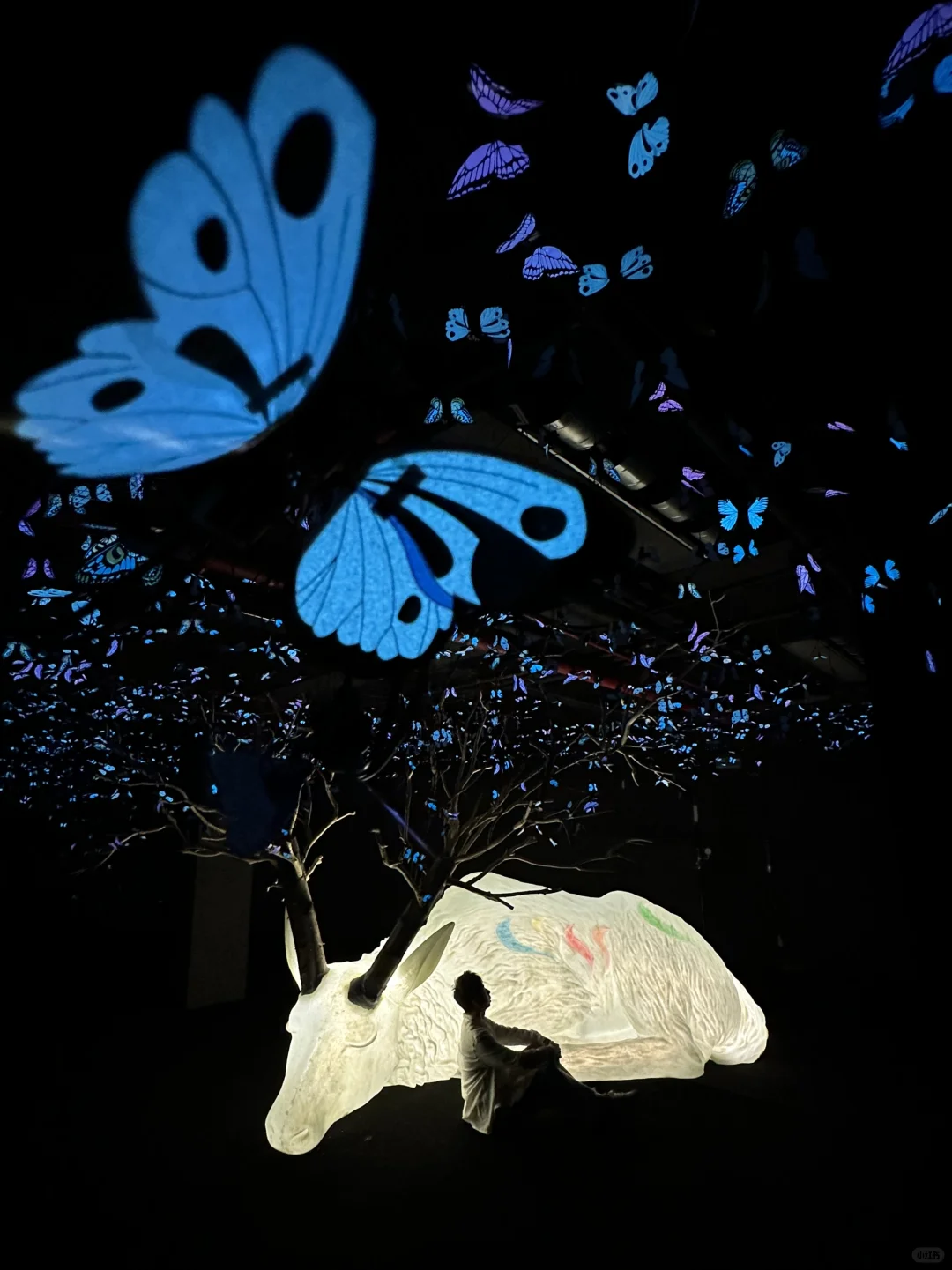 我宣布…这是深圳近期最震撼的的新展?免费！