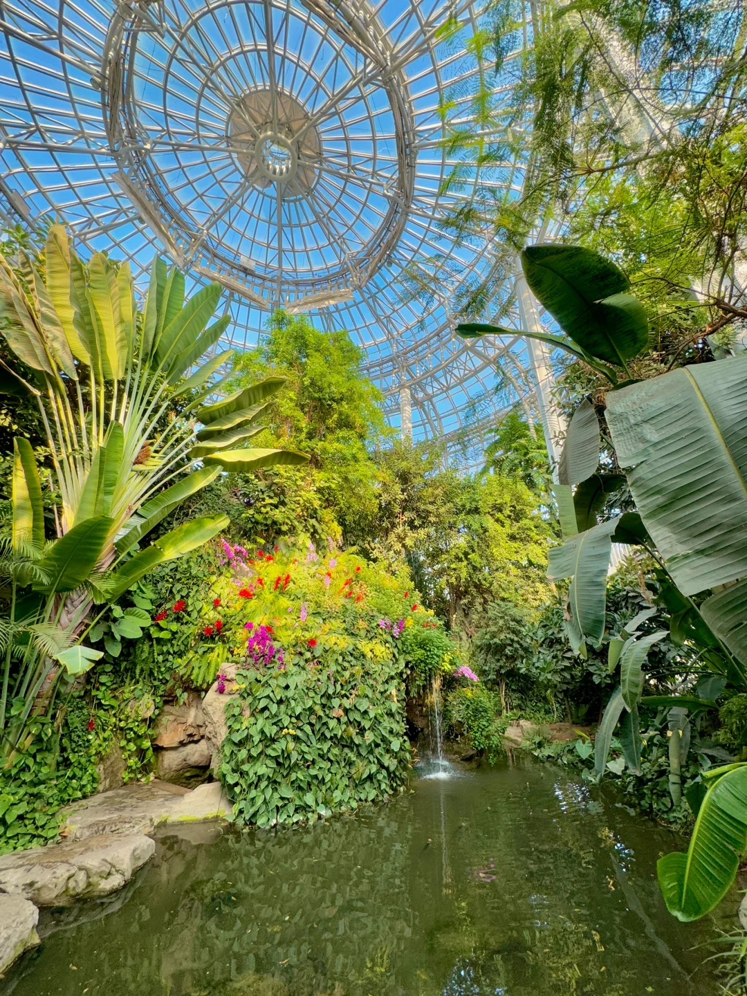 郑州最好的地方都是免费的。。。