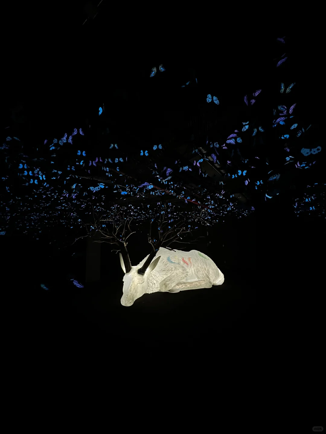 我宣布…这是深圳近期最震撼的的新展?免费！