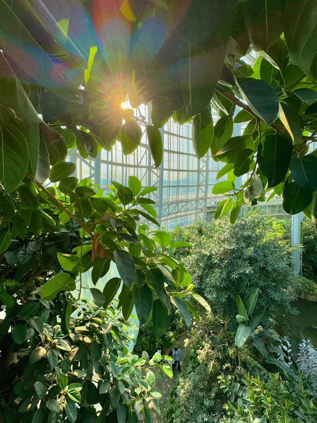 郑州最好的地方都是免费的。。。