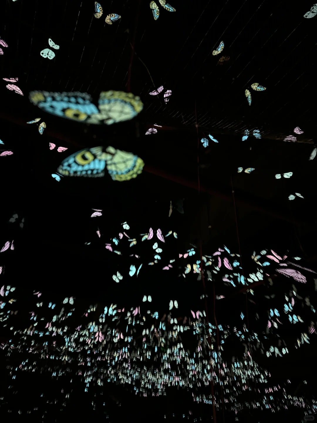 我宣布…这是深圳近期最震撼的的新展?免费！