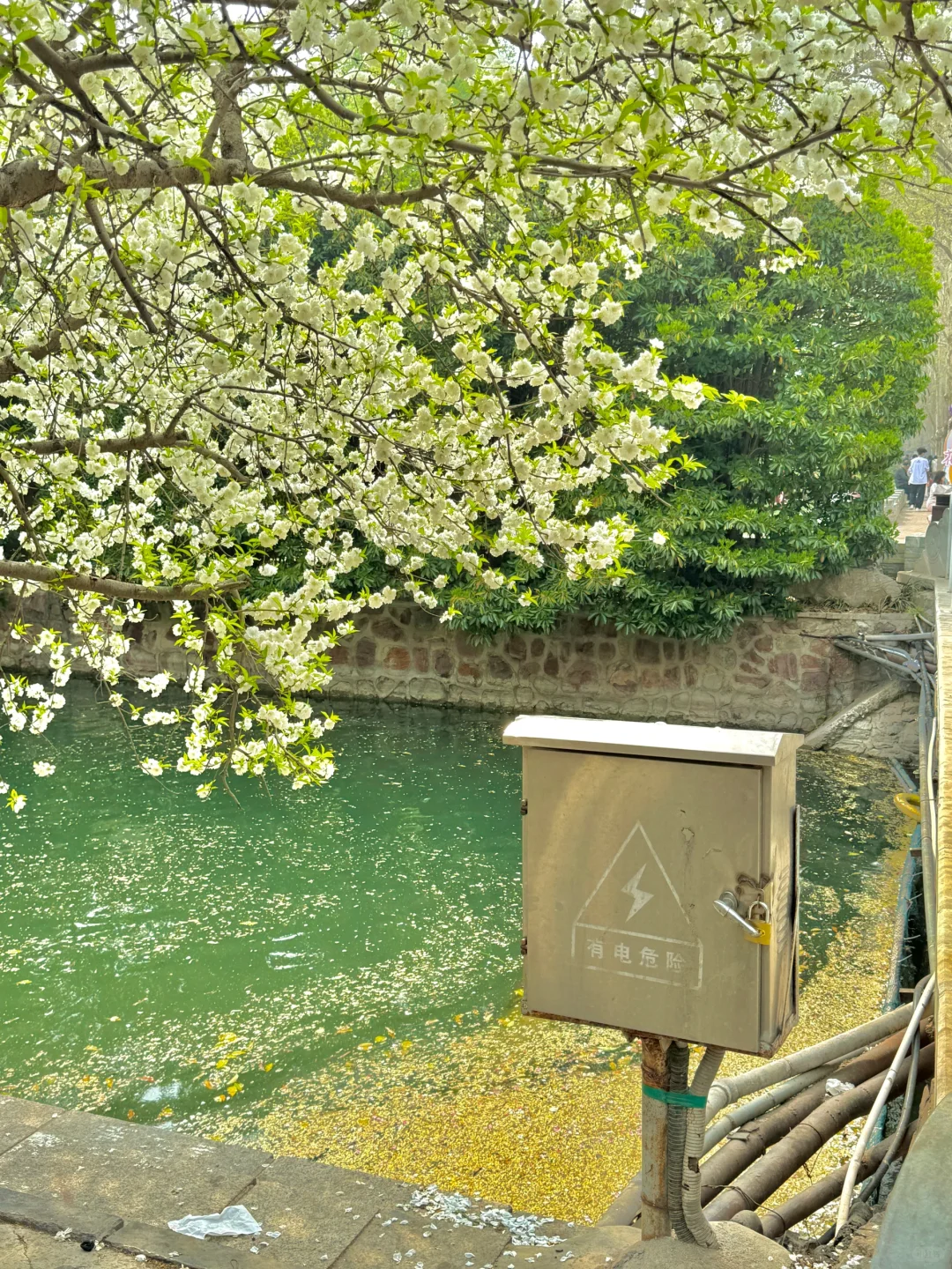 郑州最好的地方都是免费的。。。