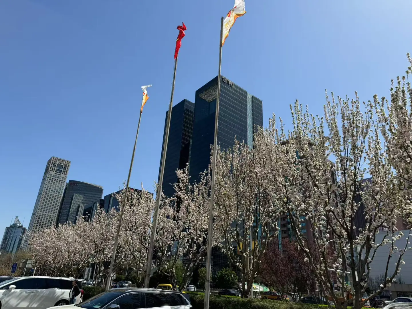 需要会展销售4位，地点国贸