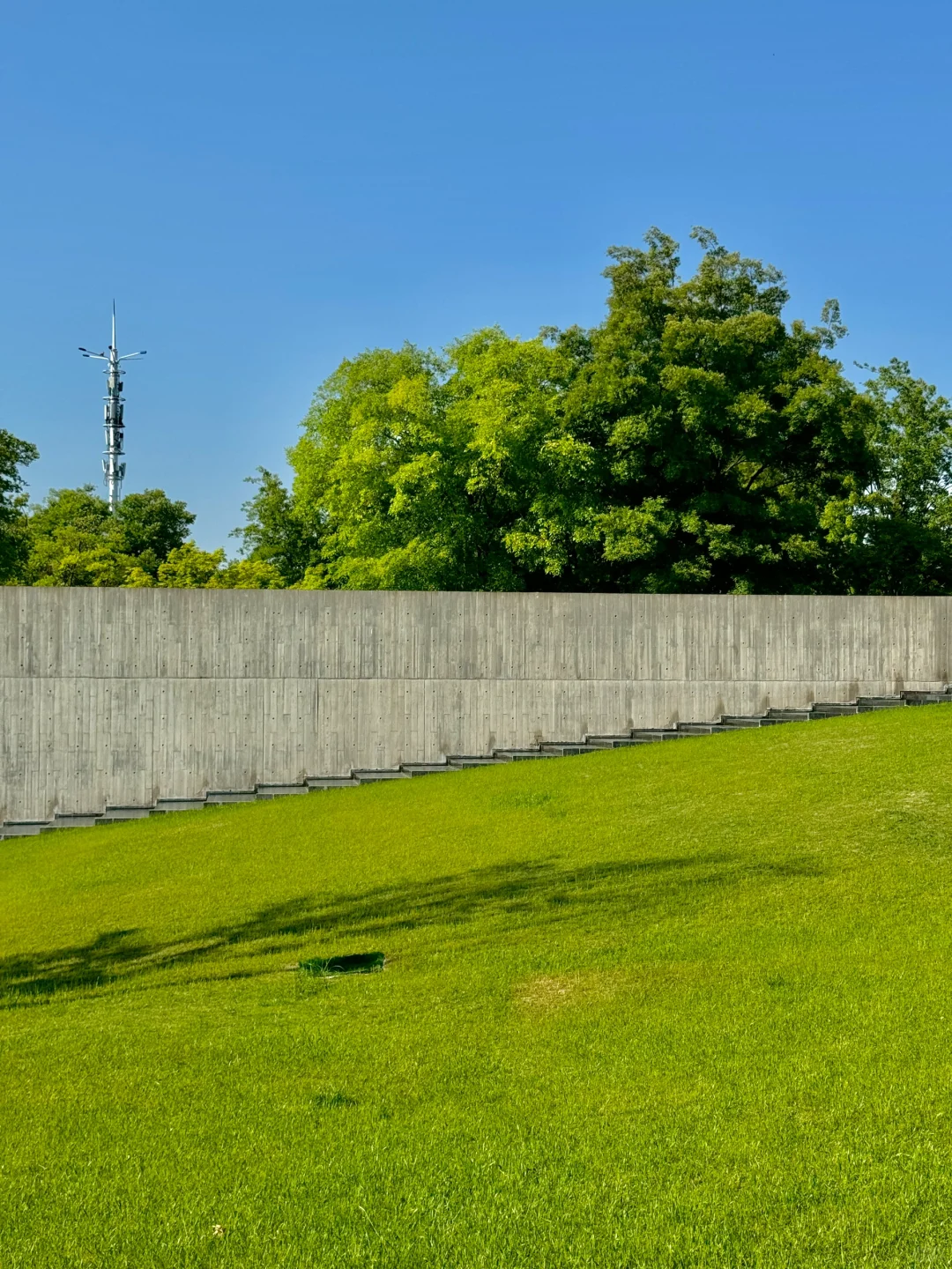 郑州最好的地方都是免费的。。。