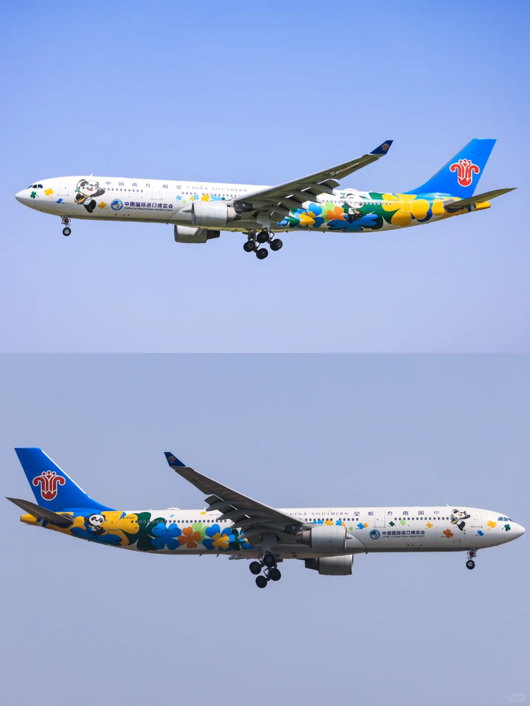 南方航空B5940：中国国际进口博览会彩绘