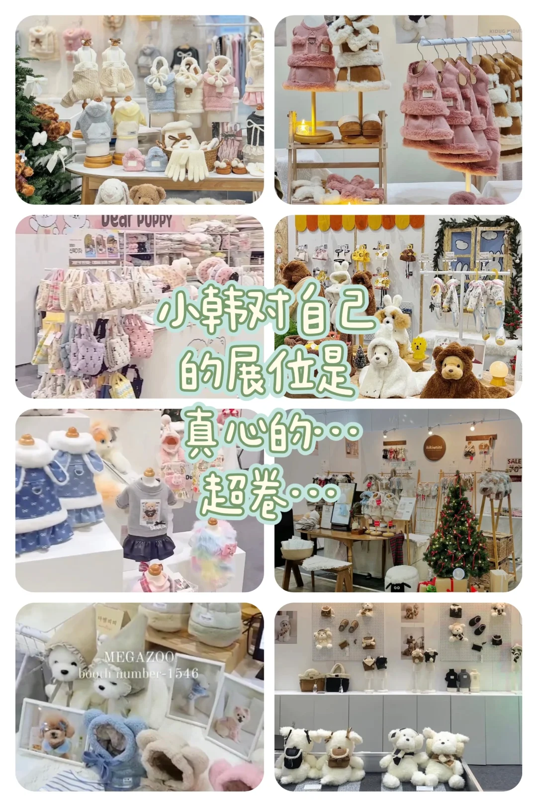 ?五月去小韩的养宠人不要错过这个展！！