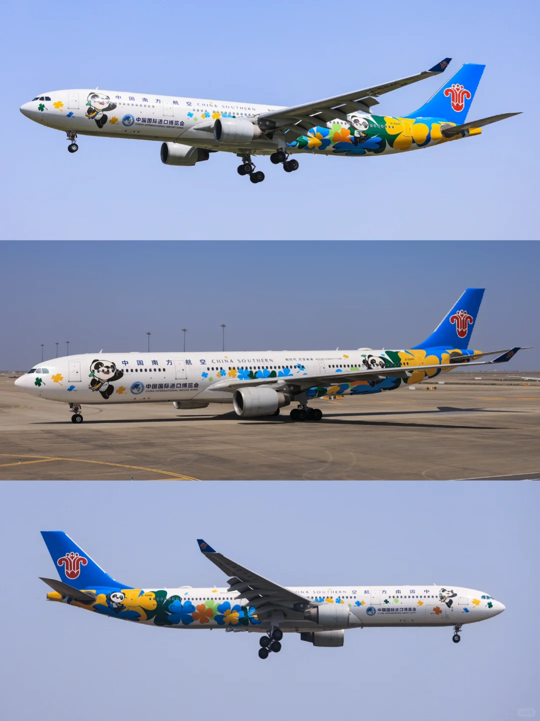 南方航空B5940：中国国际进口博览会彩绘