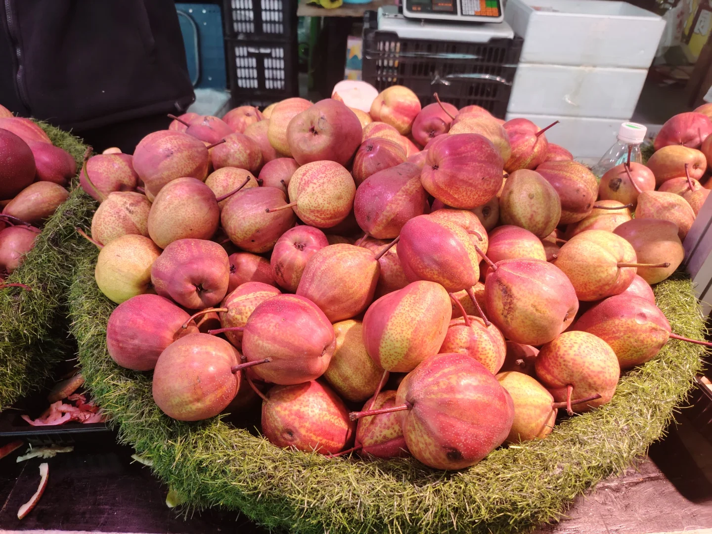 齐齐哈尔博览会