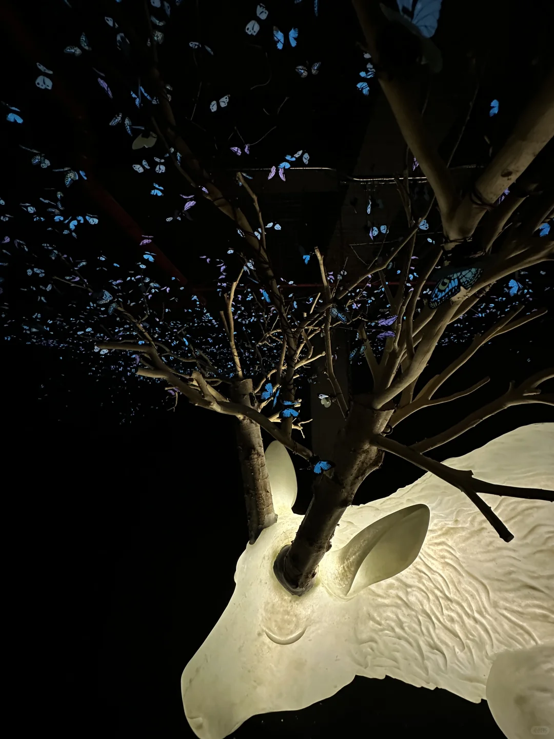 我宣布…这是深圳近期最震撼的的新展?免费！