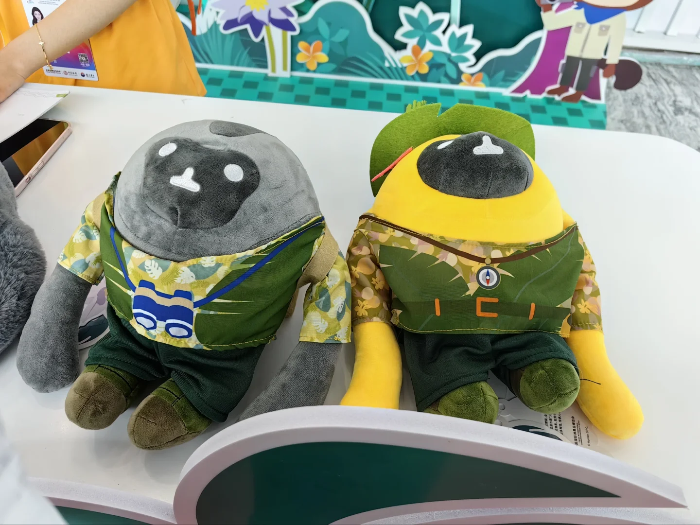 来消博会现场啦