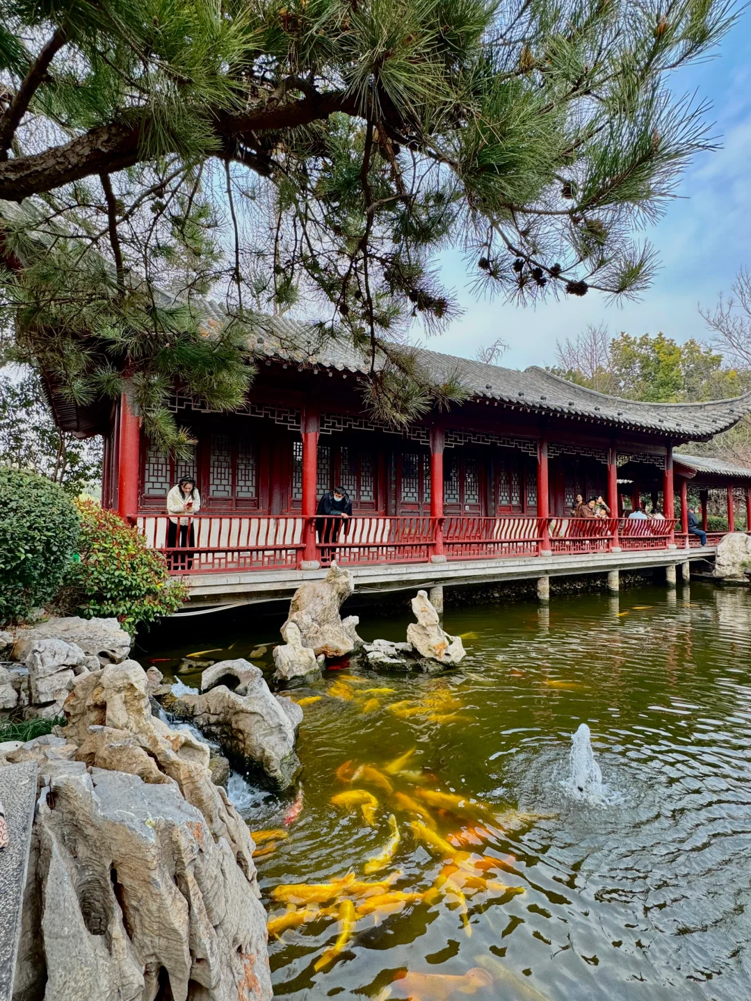 郑州最好的地方都是免费的。。。