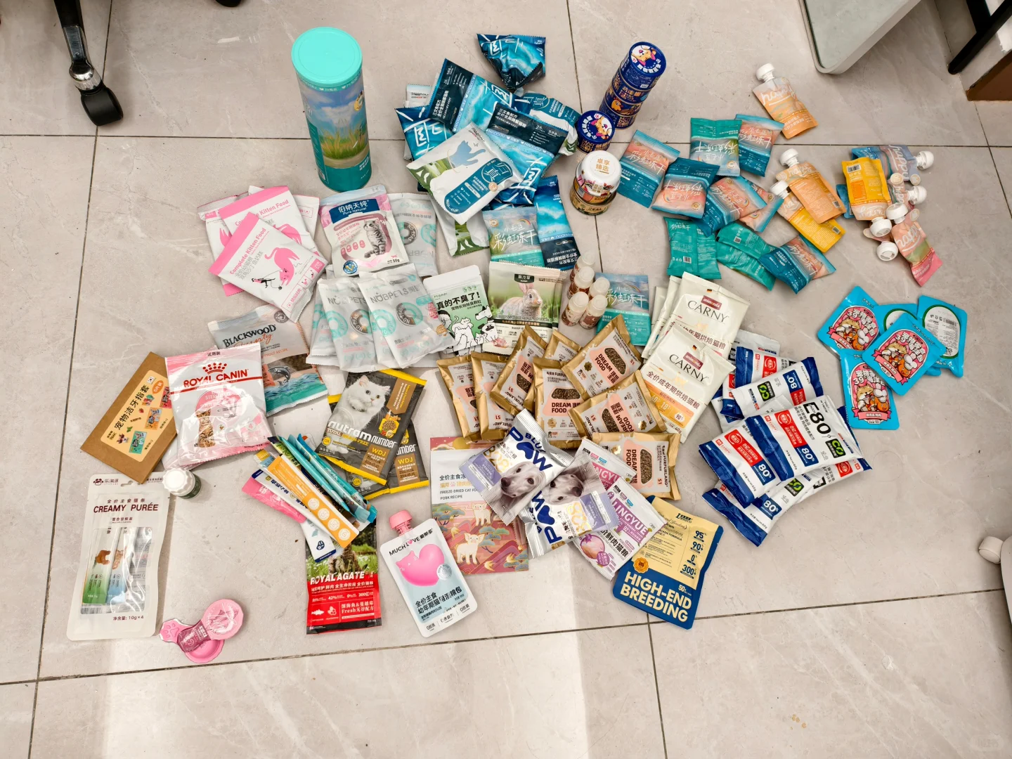 第一次逛亚宠展复盘