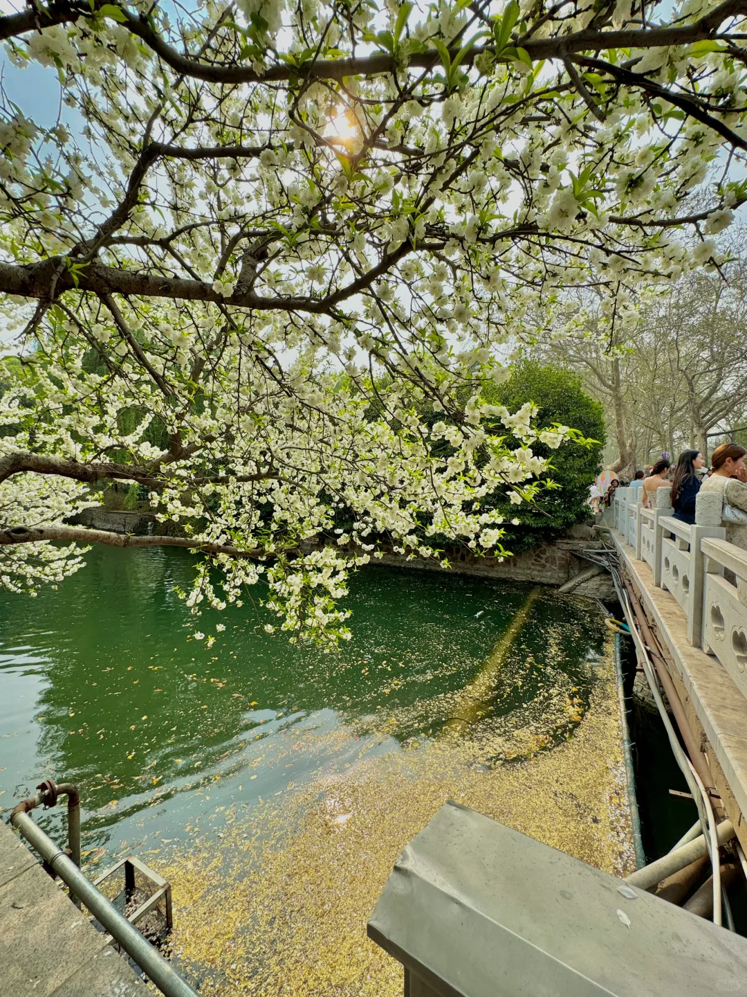郑州最好的地方都是免费的。。。