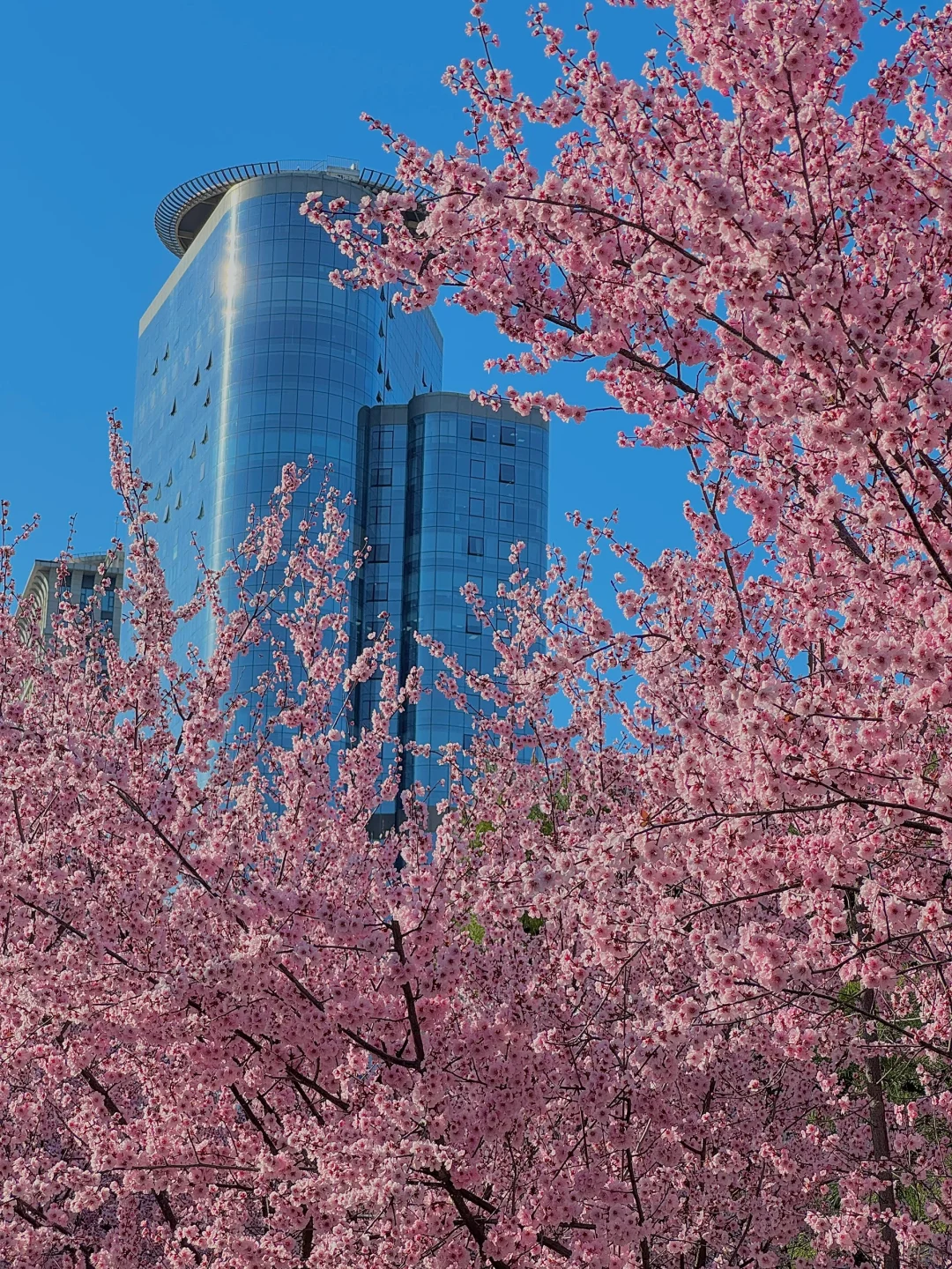 郑州最好的地方都是免费的。。。