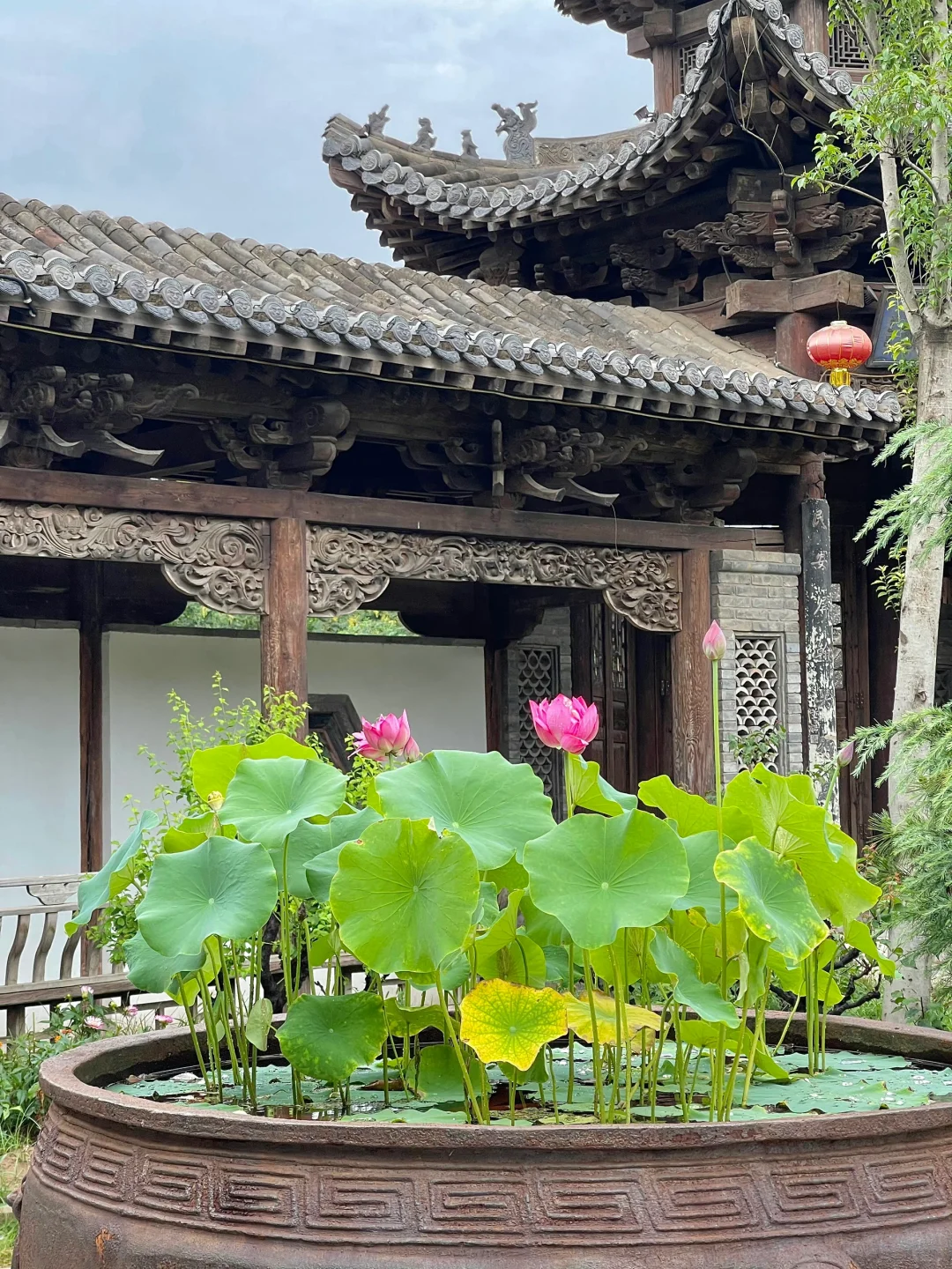 郑州最好的地方都是免费的。。。