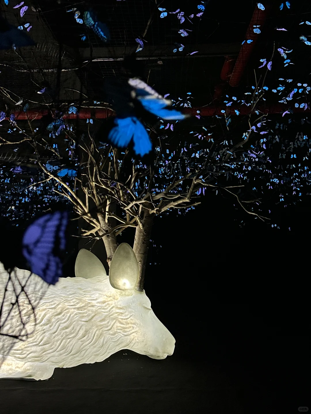 我宣布…这是深圳近期最震撼的的新展?免费！