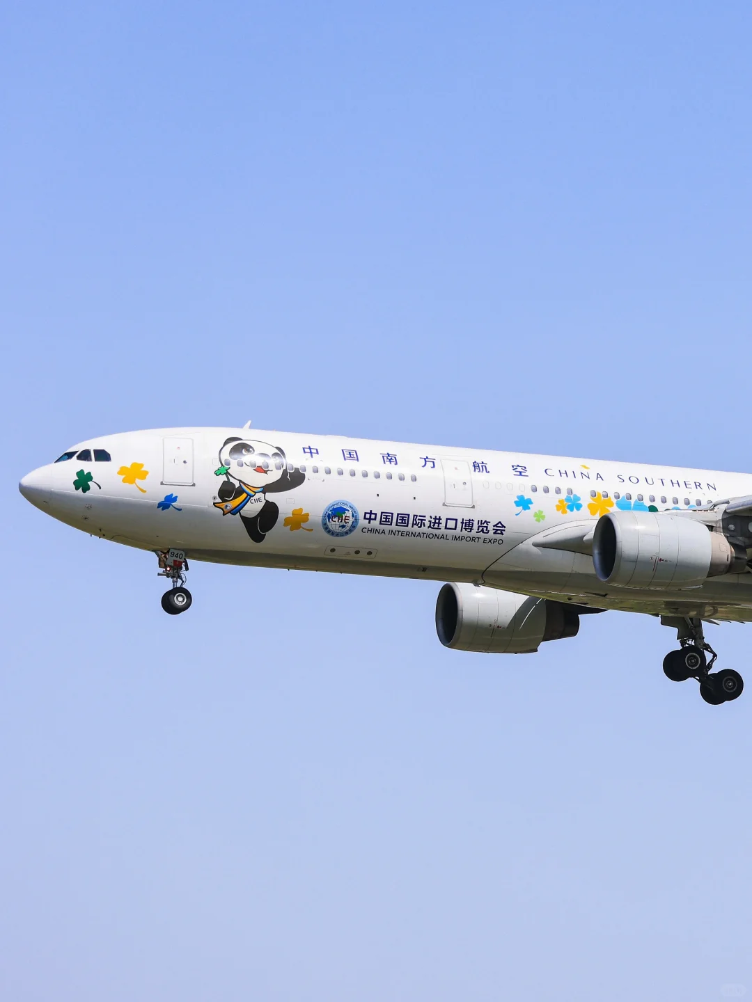 南方航空B5940：中国国际进口博览会彩绘