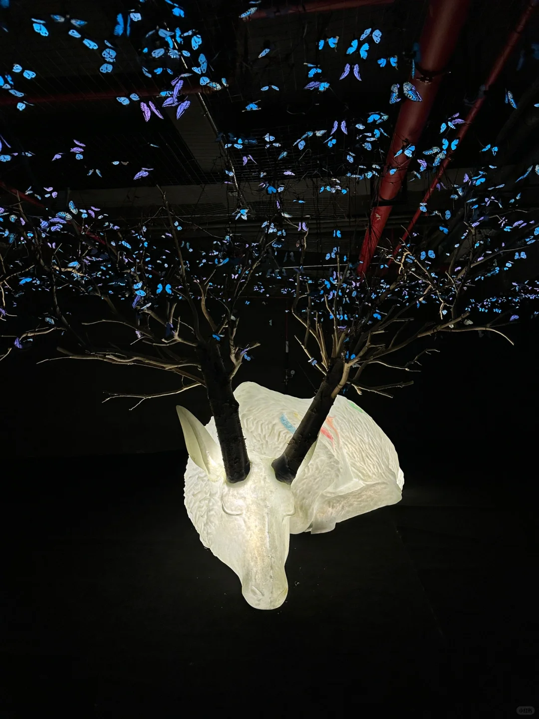 我宣布…这是深圳近期最震撼的的新展?免费！