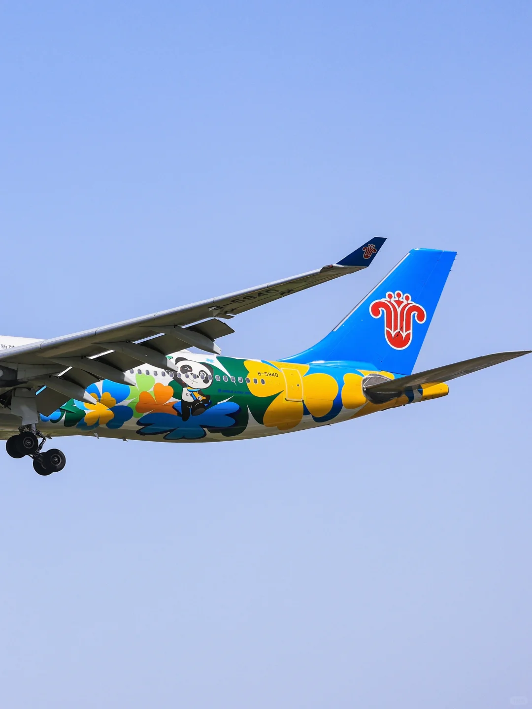 南方航空B5940：中国国际进口博览会彩绘