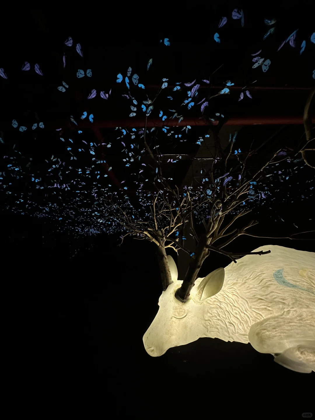 我宣布…这是深圳近期最震撼的的新展?免费！