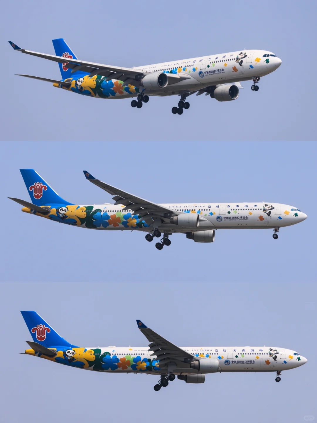 南方航空B5940：中国国际进口博览会彩绘