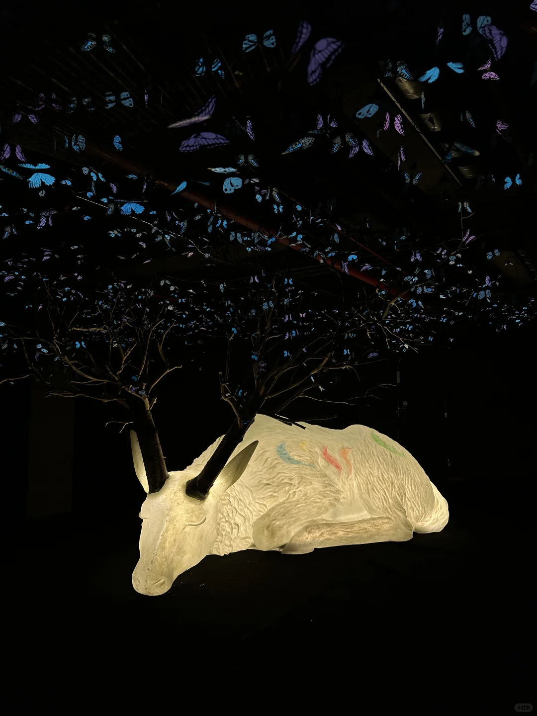 我宣布…这是深圳近期最震撼的的新展?免费！