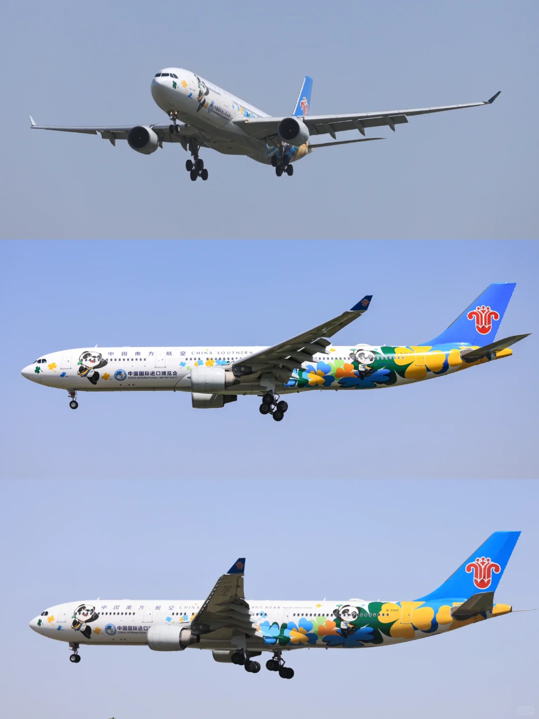 南方航空B5940：中国国际进口博览会彩绘