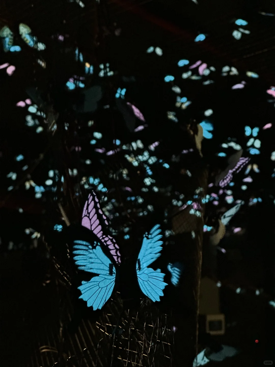 我宣布…这是深圳近期最震撼的的新展?免费！