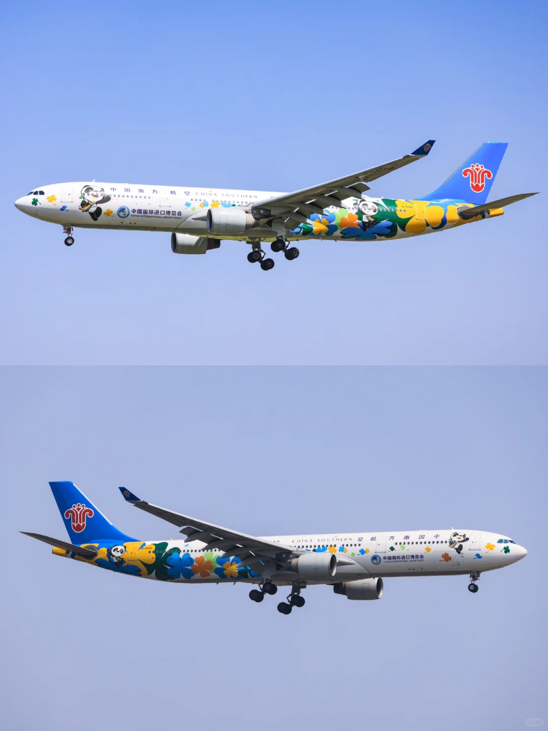 南方航空B5940：中国国际进口博览会彩绘