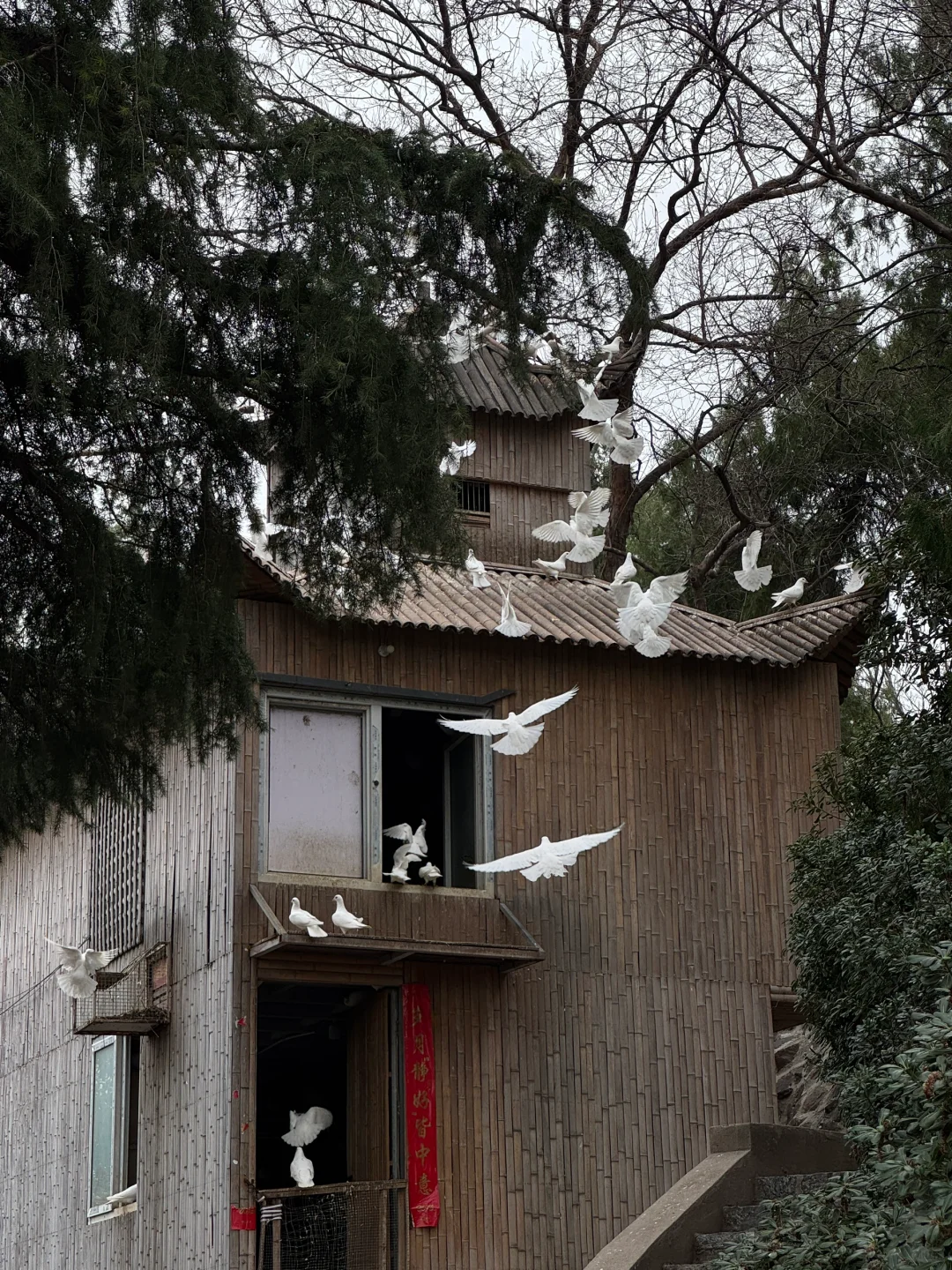 郑州最好的地方都是免费的。。。