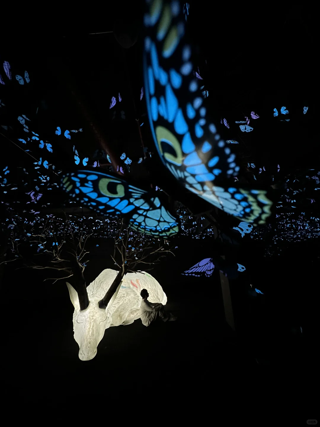 我宣布…这是深圳近期最震撼的的新展?免费！