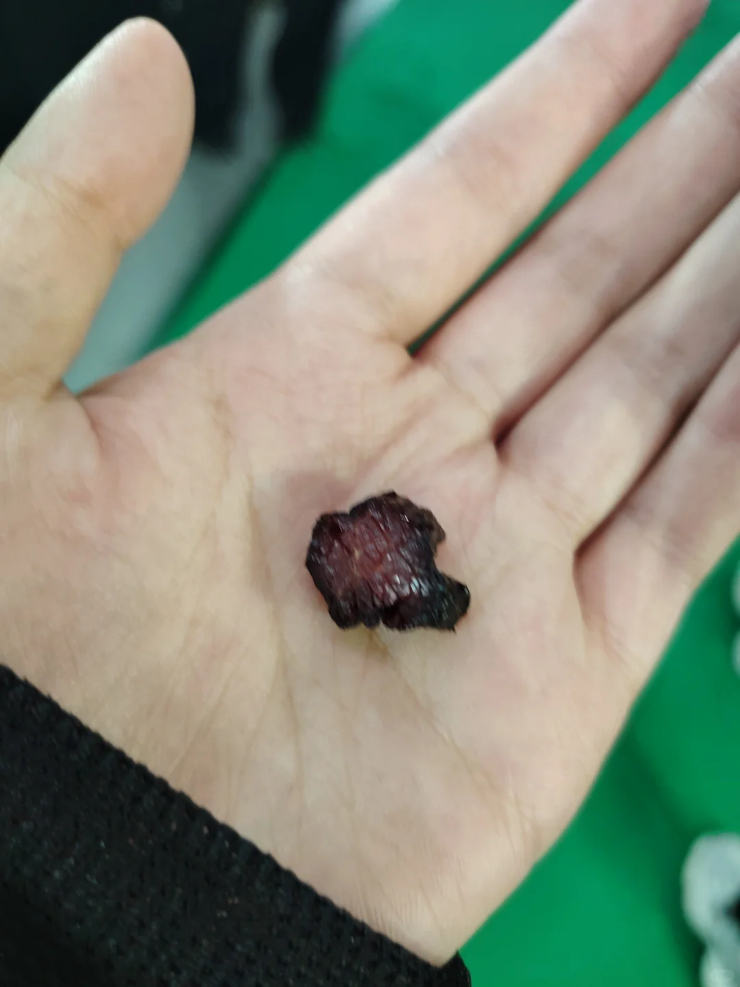 齐齐哈尔博览会