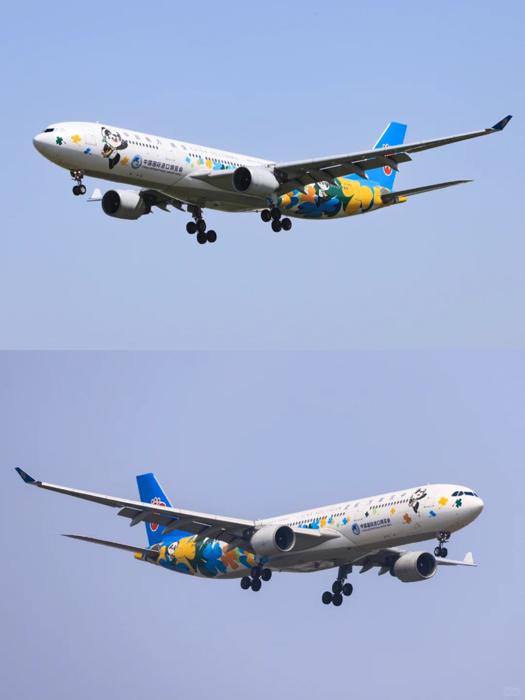 南方航空B5940：中国国际进口博览会彩绘